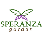 Esperanza